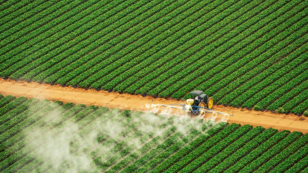 Best Commercial Pest Control Services  in Inverness, FL